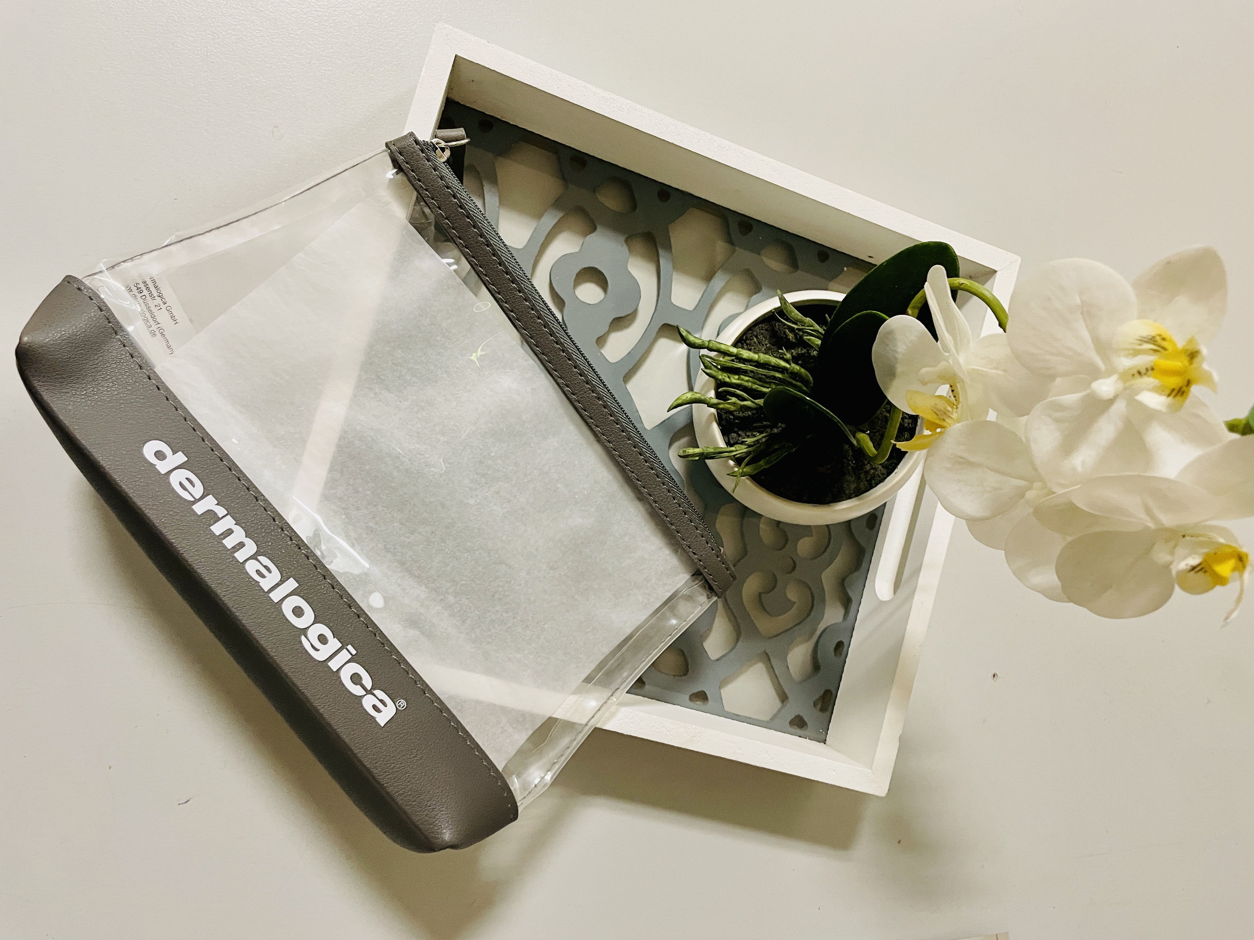 Sac de voyage Dermalogica transparent