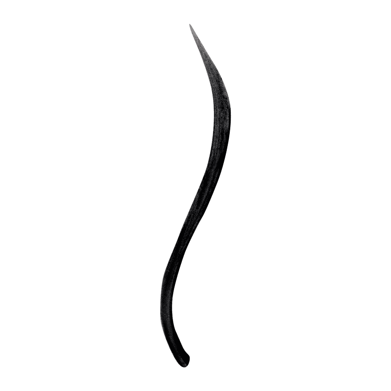 jane-iredale-liquid-eyeliner-black_2_optimized