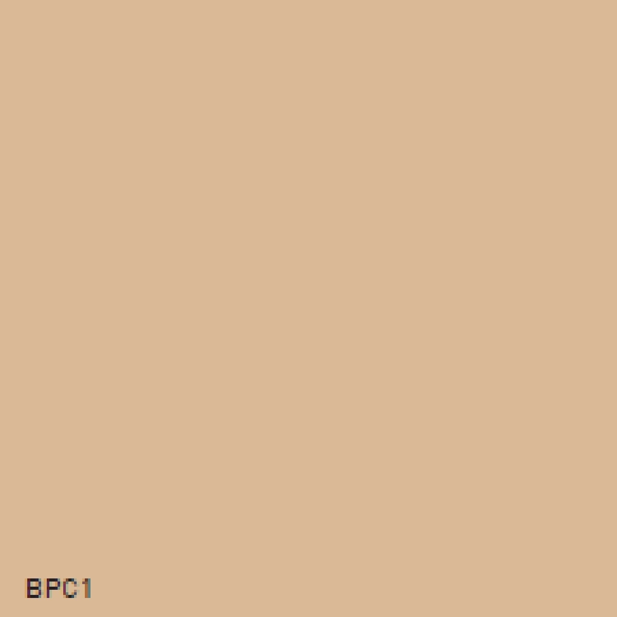 image_121966_2 Einfarbiger Hintergrund in Beige mit kleinem Text 'BPC1' in der unteren linken Ecke.
